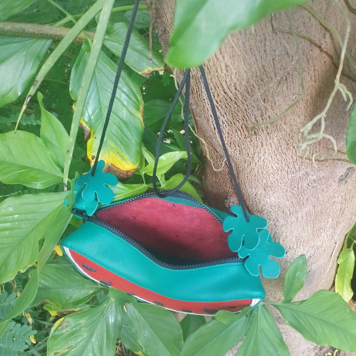 Sacculus Banana